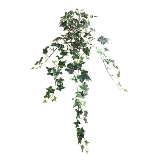 12 Pack: Assorted Mini English Ivy Bush by Ashland®